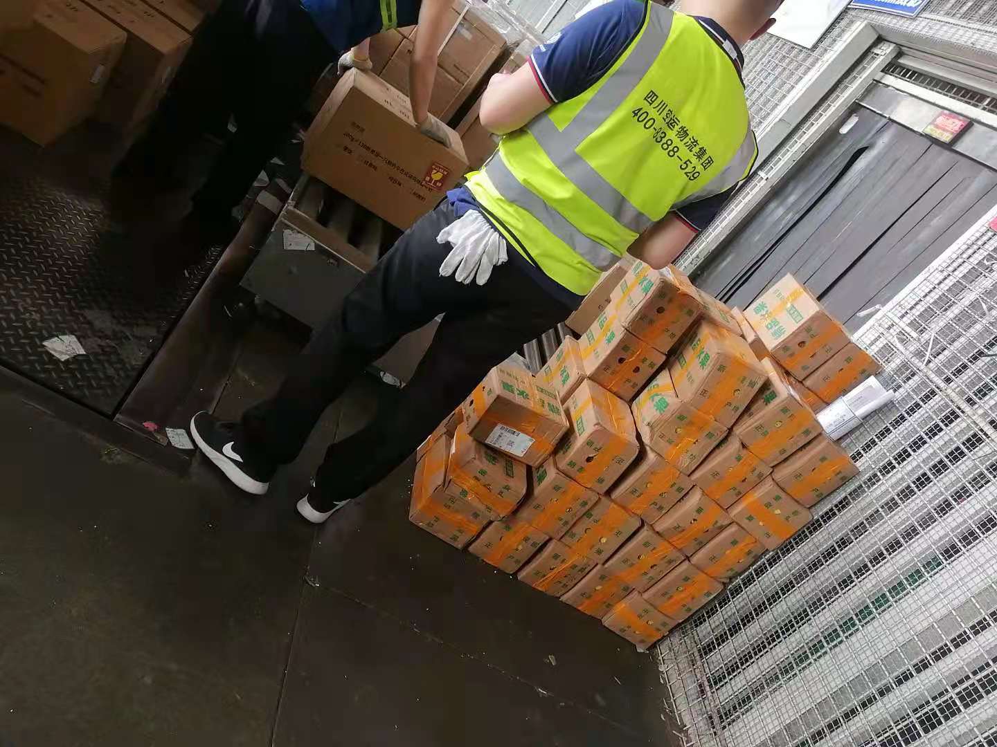 航空可以托運生蠔往烏魯木齊嗎？-成都寵物空運